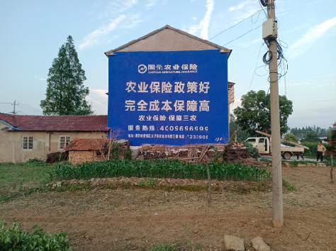 宾阳墙体广告为何受追捧？